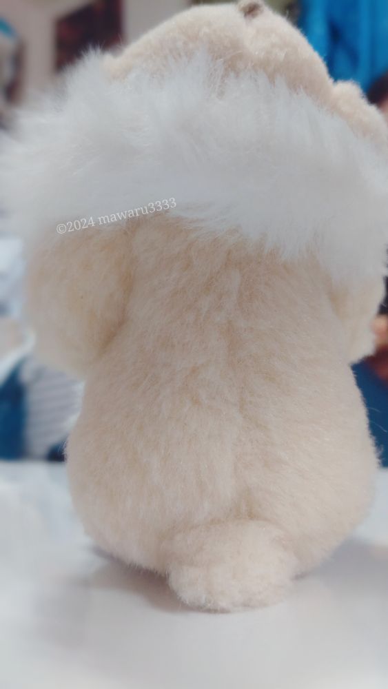 白い毛を首に巻くクマのぬいぐるみ（後ろ姿）