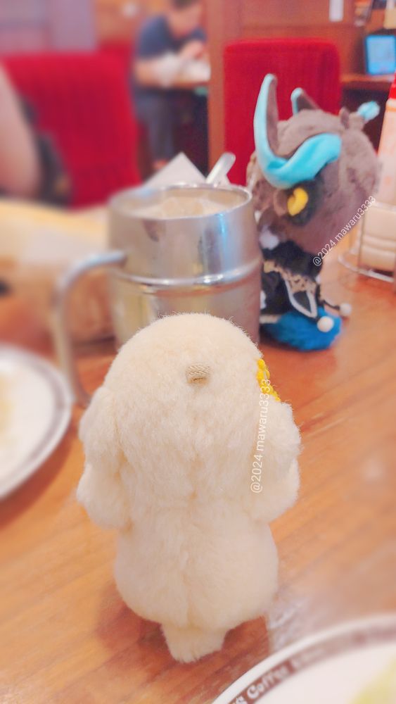 写真を撮られているぬいぐるみを見るクマのぬいぐるみ（後ろ姿）