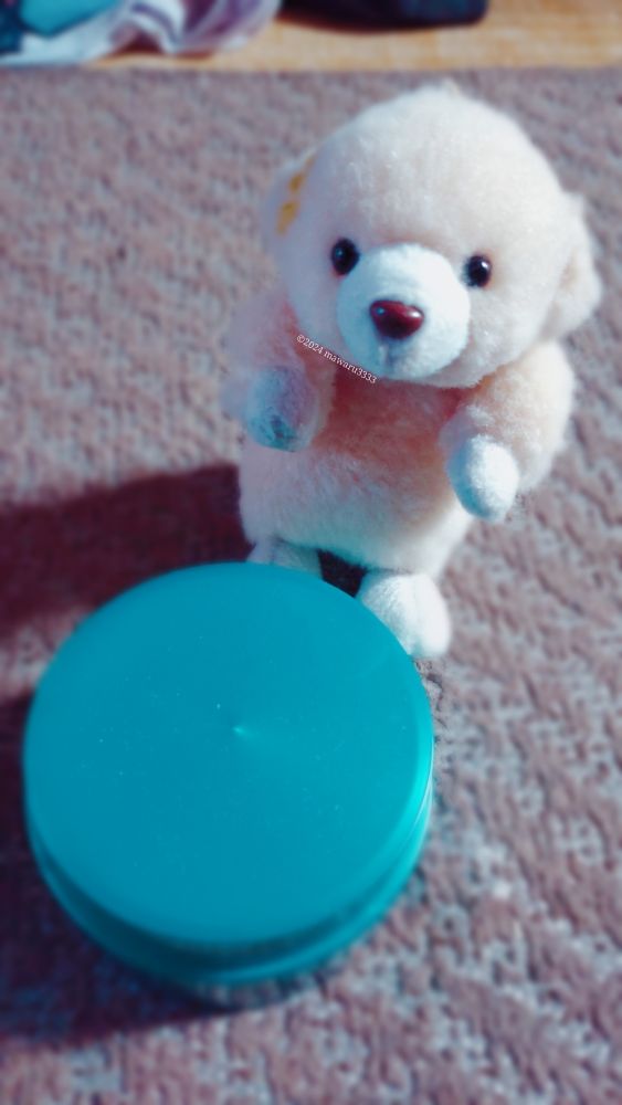 クリームのケースとカメラ目線のクマのぬいぐるみ