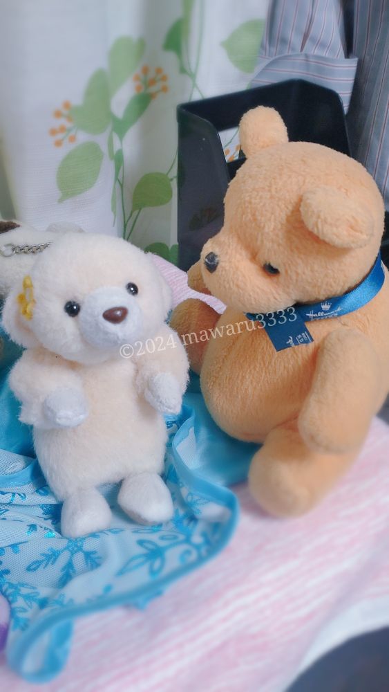 白いクマのぬいぐるみを見るオレンジのクマのぬいぐるみ