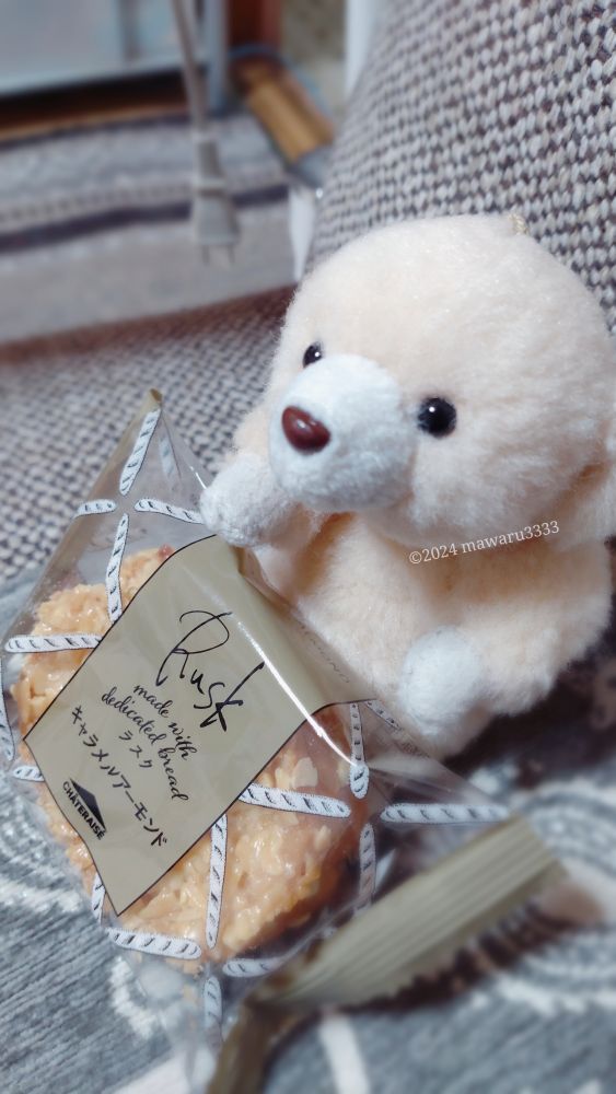 座っているクマのぬいぐるみにラスクを添えている
