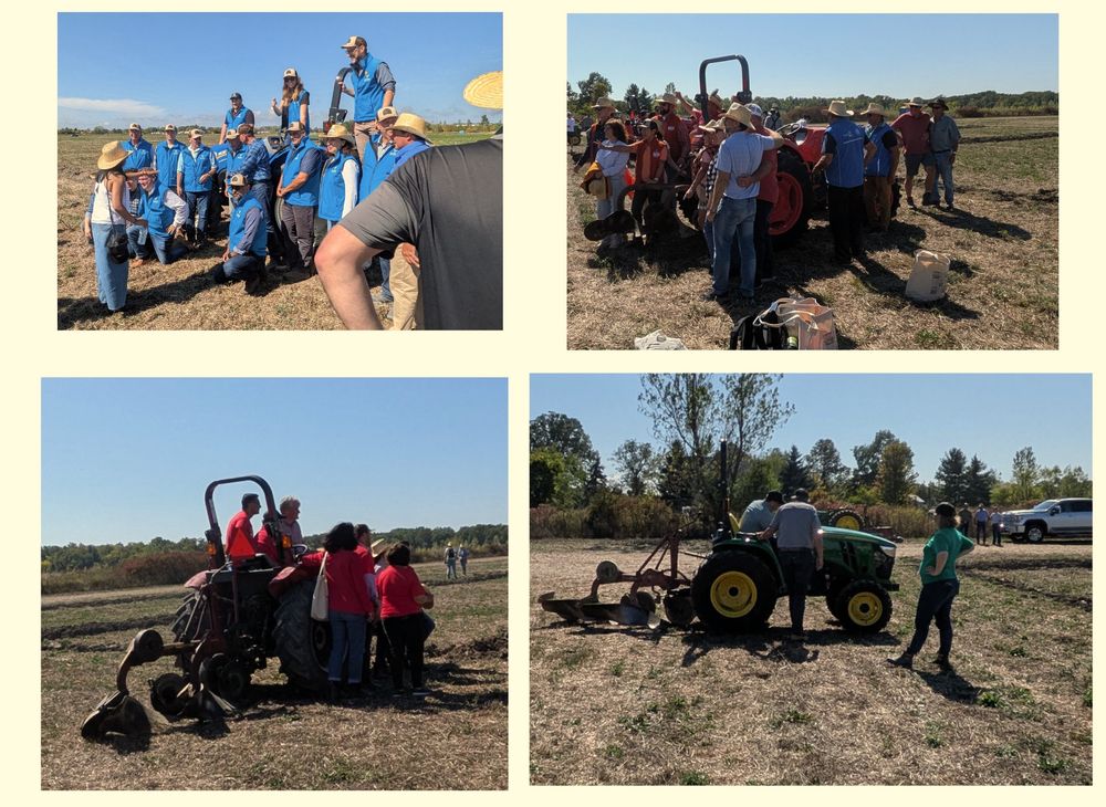 Four groups of people with tractors - a large group with a blue tractor, a smaller group with an orange one, a smaller group with a red one, and a very small group with a green one.