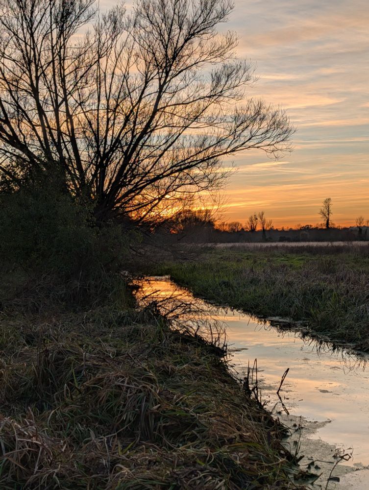 A narrow stream runs diagonally across the picture, reflecting the light of a colourful sunset. A bankside willow is silhouetted on the left.
