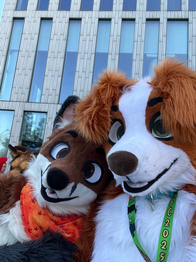 Selfie of a fox fursuiter (left) and a nova scotia duck tolling retriever fursuiter (right)