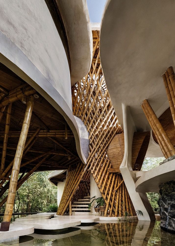 Trillium Awakening cabins and lodges