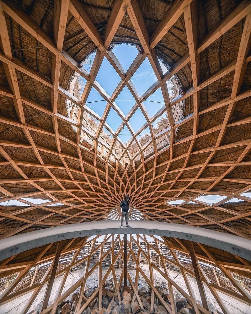 Tij—an egg-shaped bird observatory