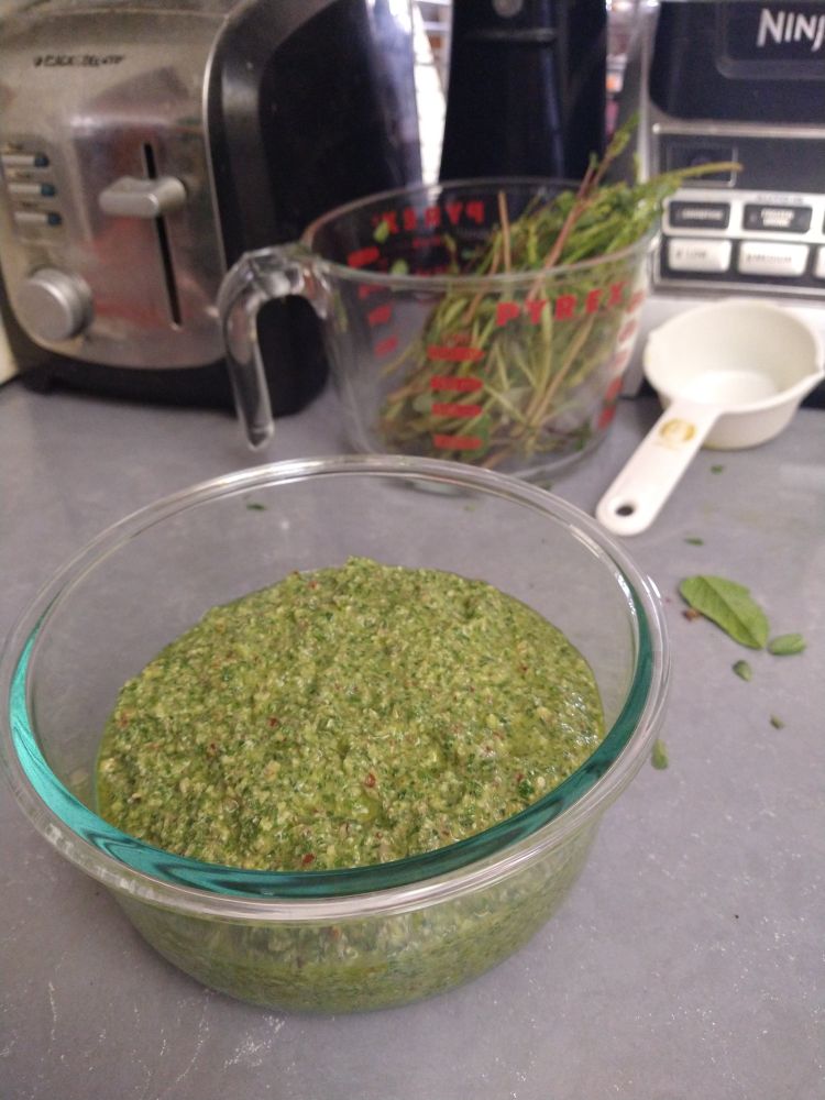 A bowl of pesto made from the previous pic's basil and part of the purslane.