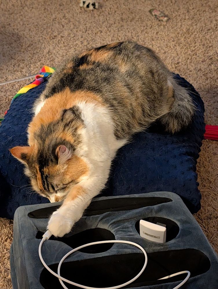 a tabby calico cat lying on a blue blanket. her front left paw is outstretched and making contact with a charging cord, making it appear as if she herself is plugged in 