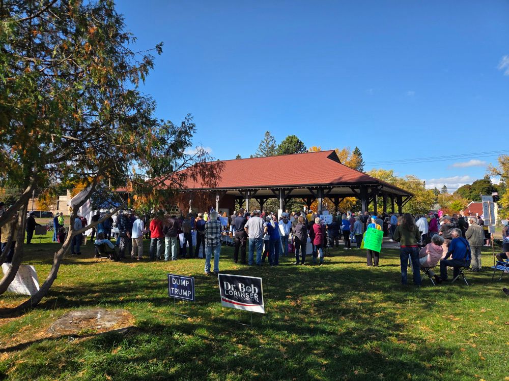 A crowd gathered to hear speakers talk about our democracy and protest the Trump administration. The crowd is gathered in a park on a sunny day.