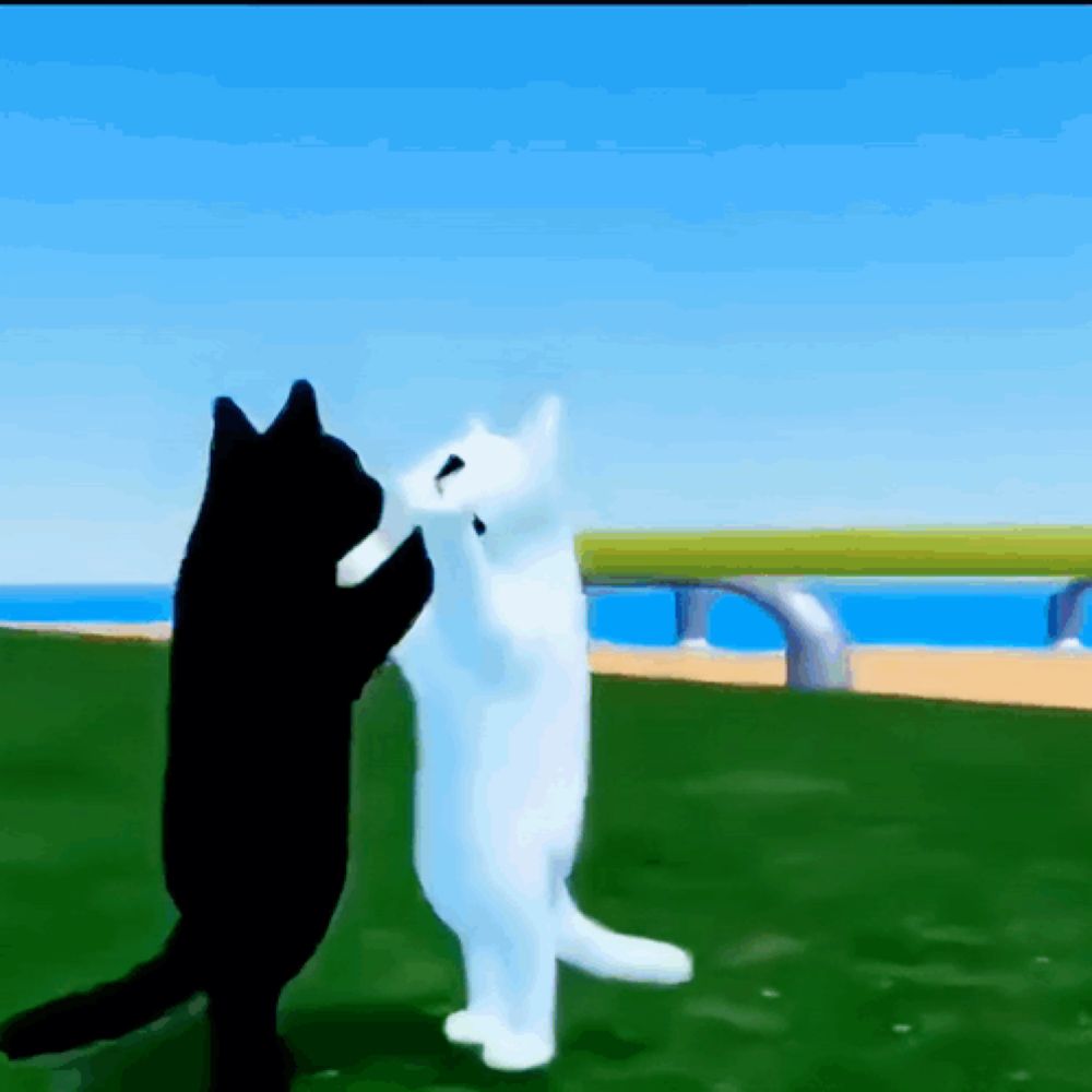 a black and white cat are standing next to each other on their hind legs