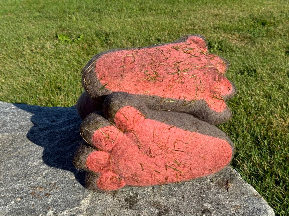 Photo of the valenki paws wet, dirty, covered in grass clippings 