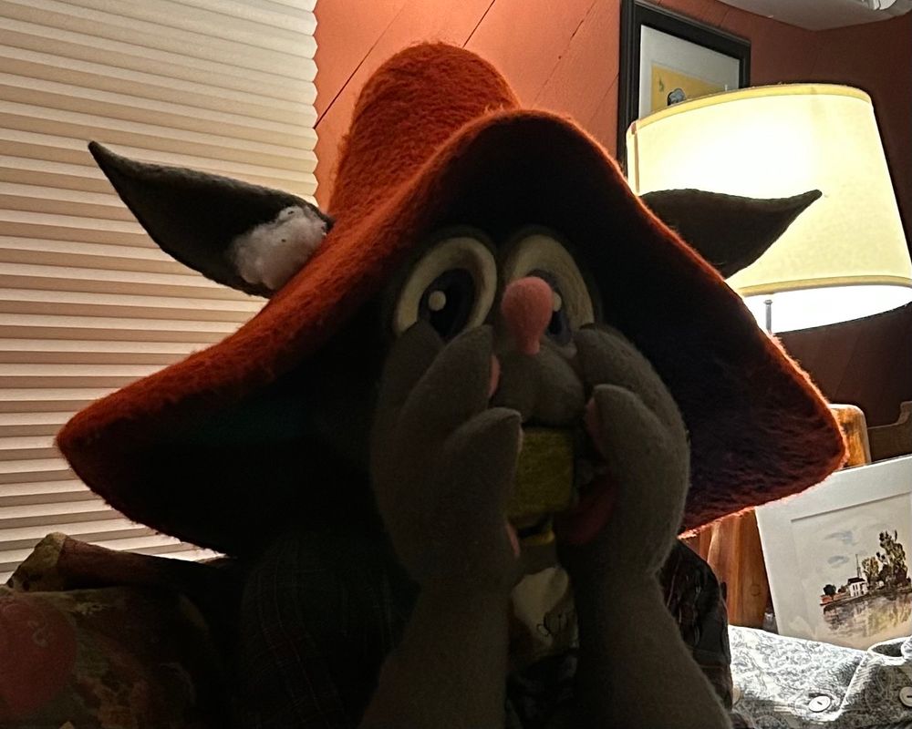 Photo of Fungus devouring Fungus