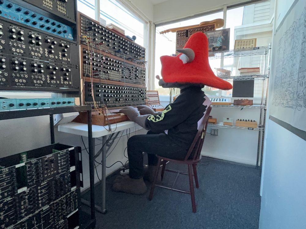 Photo of me as Fungus sitting in front of and facing a MOTM modular synth system surrounded by other synths and instruments. My paws are resting on a keyboard.