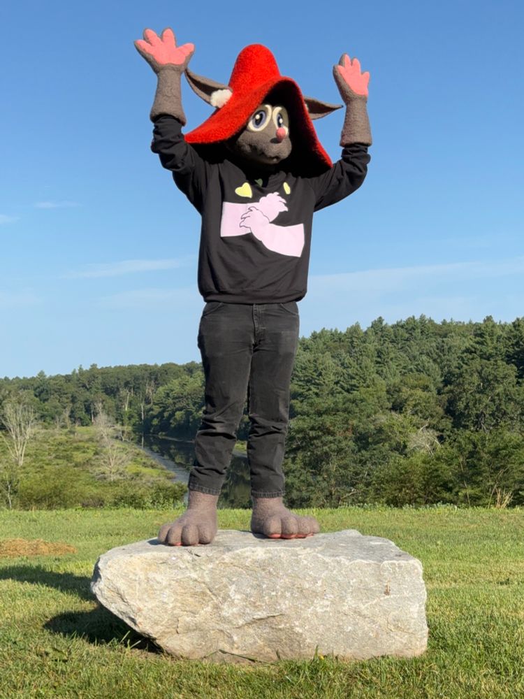 Photo of Fungus standing on the rock with their arms up. The front of the sweater has hugging arms with hearts printed on it.