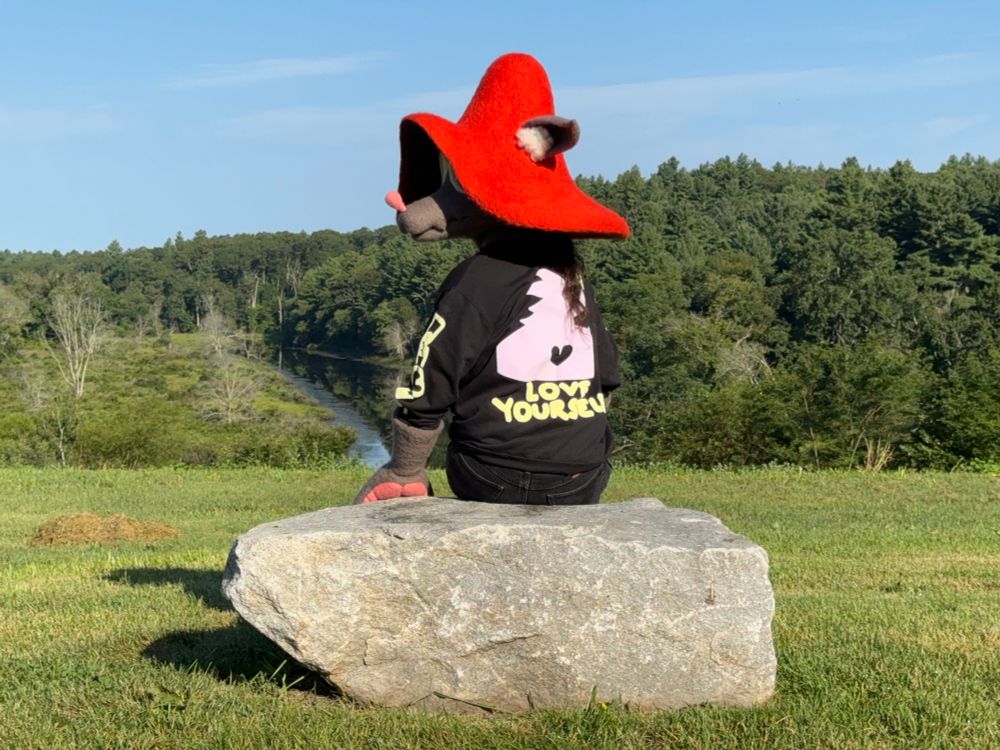 Photo of me with my back facing the camera and looking back while wearing my Fungus fursuit partial. I am sitting on a rock on a grassy field overlooking a river. Fungus has grey ‘fur’, a large red mushroom cap on their head with two pointed ears sticking out, and pink pads and nose. I am wearing a sweater with a hugging creature (covered by my hair, sorry!) and the text “Love Yourself” printed on it