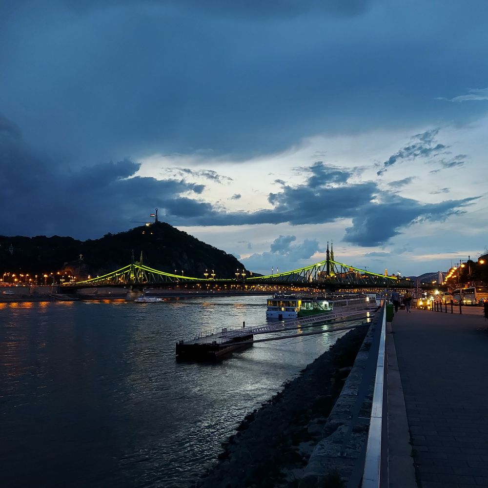 Blick donauaufwärts zum Gellertberg.