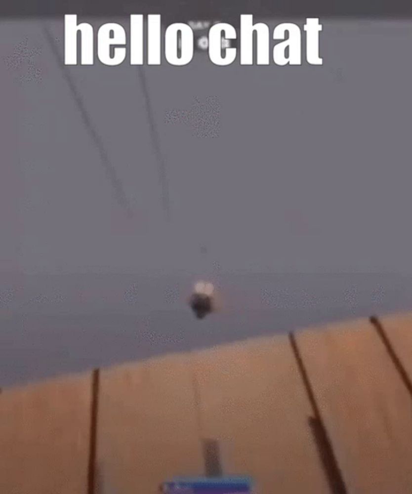 a cartoon character is hanging from a rope and says hello chat