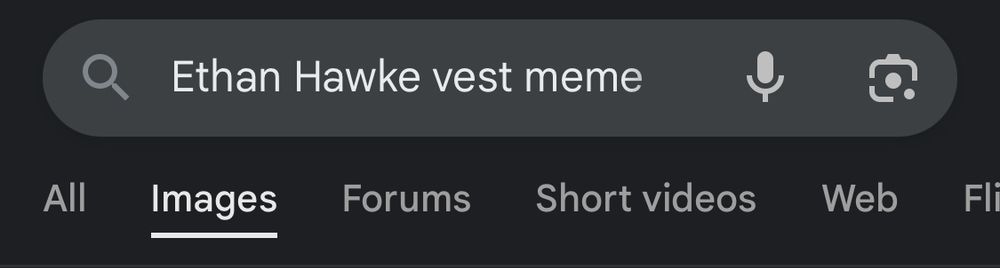 Google search results for “Ethan Hawke vest meme”