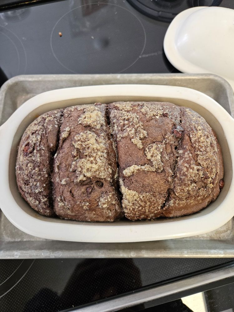Chocolate bread with sugar crust