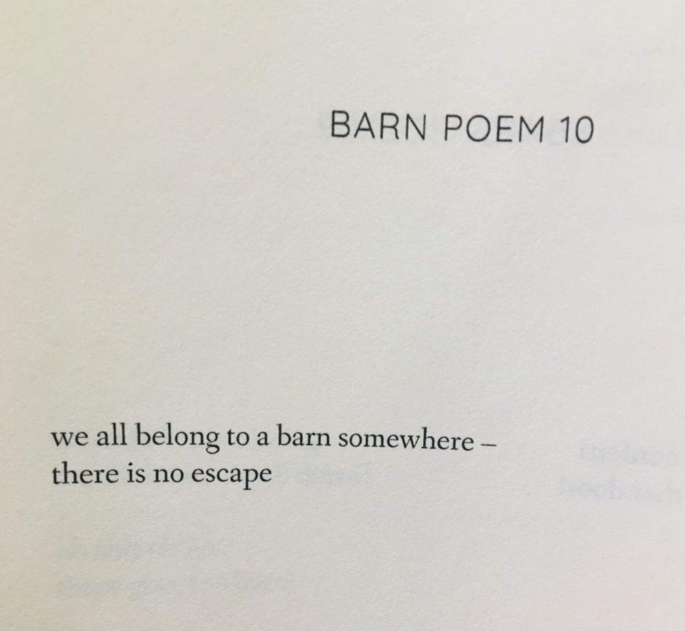 BARN POEM 10

we all belong to a barn somewhere -
there is no escape