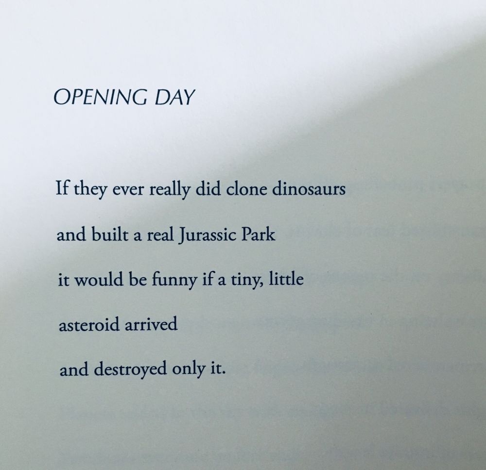 OPENING DAY

If they ever really did clone dinosaurs
and built a real Jurassic Park
it would be funny if a tiny, little
asteroid arrived
and destroyed only it.