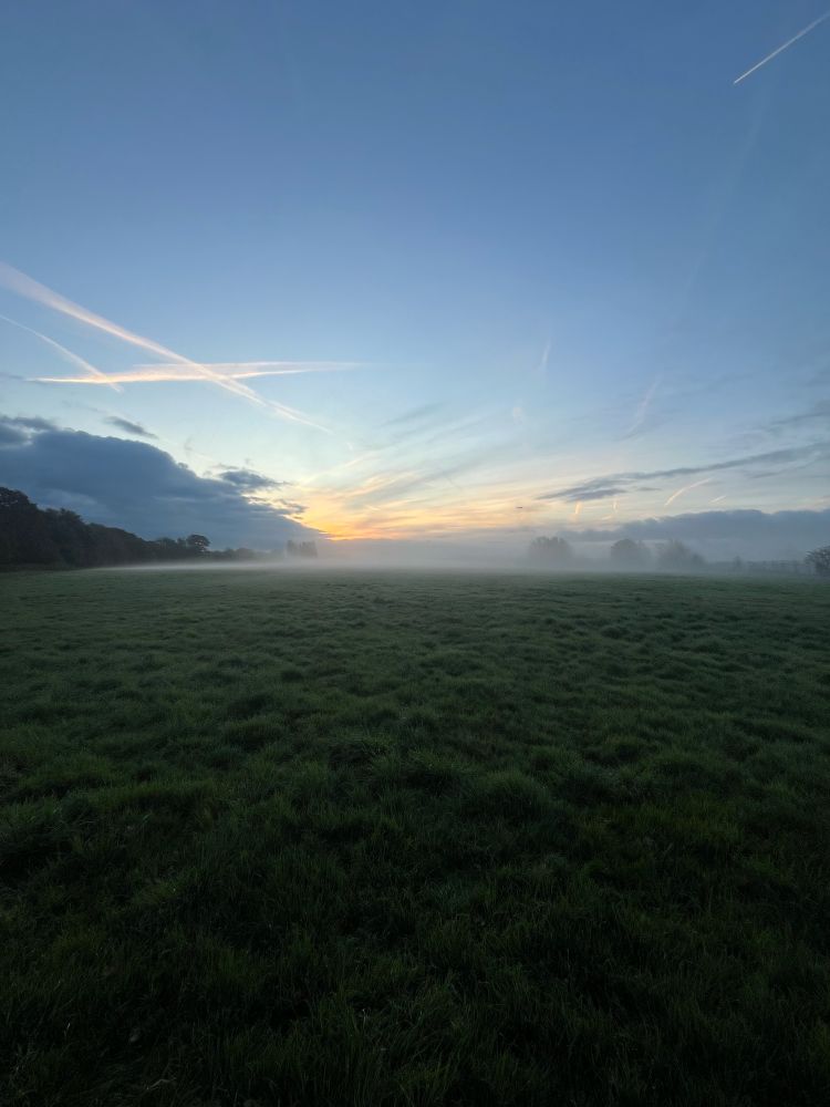 Mist covered trees in the distance, rough green grass in the foreground. Sky turning blue with yellow orange glow of sunrise and streams of vapour criss crossing and banks of ominous looking clouds on either side.