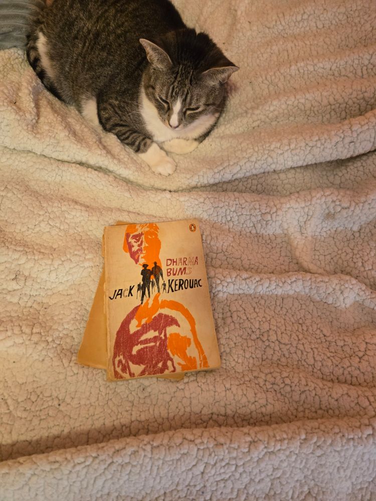Frayed paperback copy of Dharma Bums by Jack Kerouac on a blanket by a shorthair Calico cat
