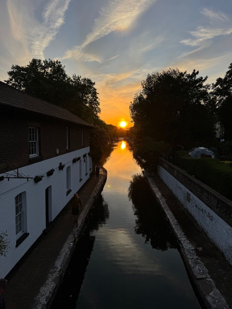 Two birds flying low over a canal at sunset, with a cast-iron footbridge and trees silhouetted against the sky.