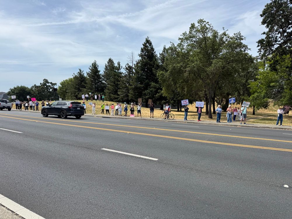 Large group of demonstrators stand along a roadside holding protest signs, with cars driving past. Trees and a grassy park area are visible in the background.