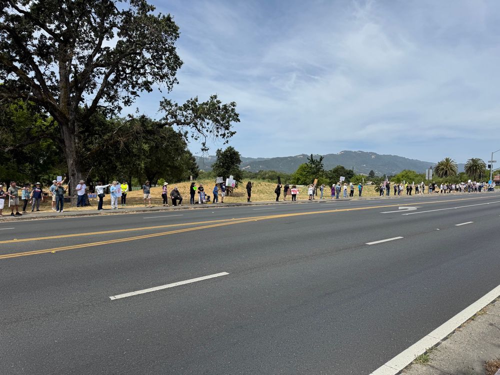 Wide view of a long line of peaceful protesters standing along a roadside, holding signs. The scene includes trees, grassy hills, and a mountain backdrop under a blue sky.