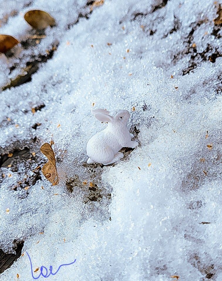 Dans la neige trottine un p'tit lapin blanc. 
Il y a aussi quelques feuilles mortes. 
