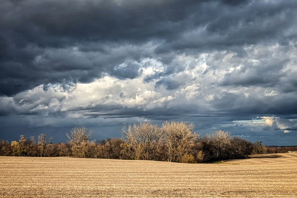 A field that's been harvested, with a treeline in the background, illuminated by winter light, with clouds being dramatic AF.