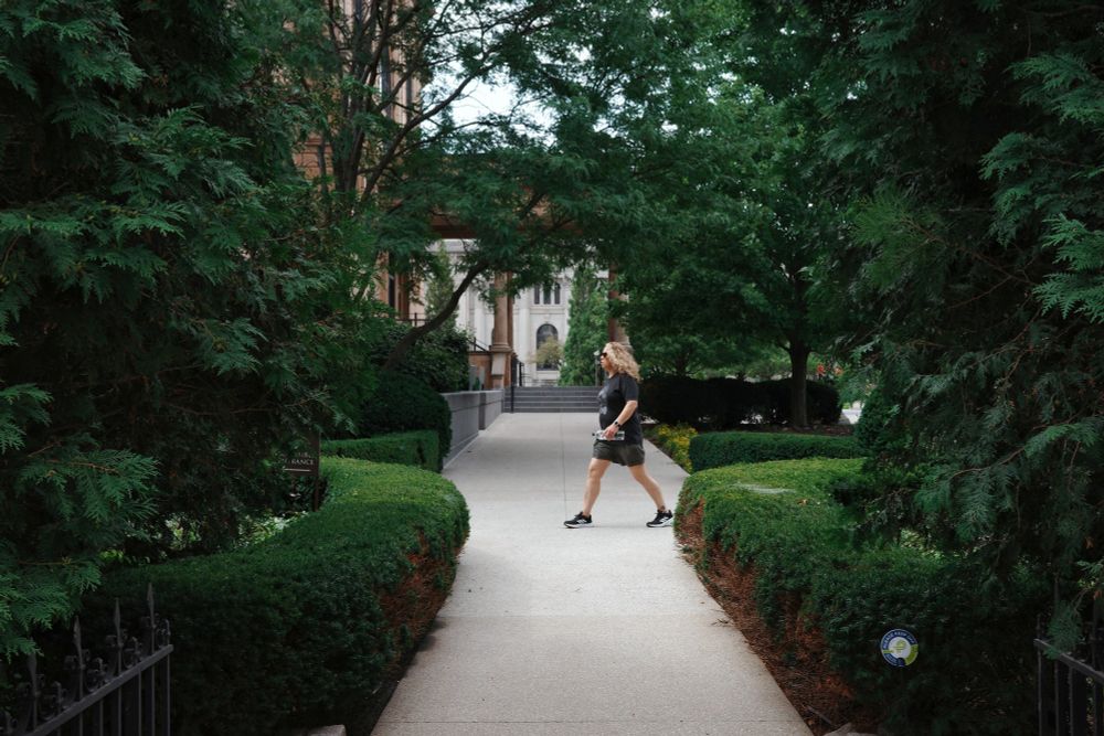 A woman walking very, very fast crosses in front of the camera as she passes through a landscaped walkway.