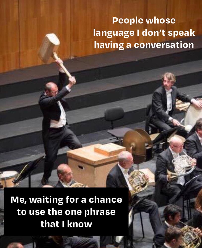 Orchestra in formal attire playing Symphony No. 6 in A minor by Gustav Mahler: “People whose language I don’t speak having a conversation”

Percussionist raising a gigantic wooden hammer, preparing to strike: “Me waiting for a chance to use the one phrase that I know”