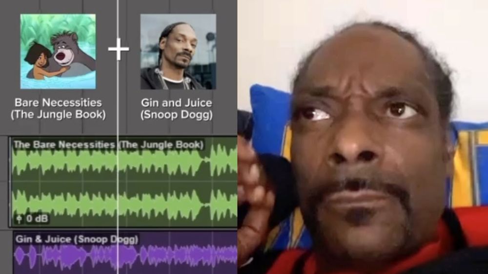 Snoop Dogg reacting to me ruining his song