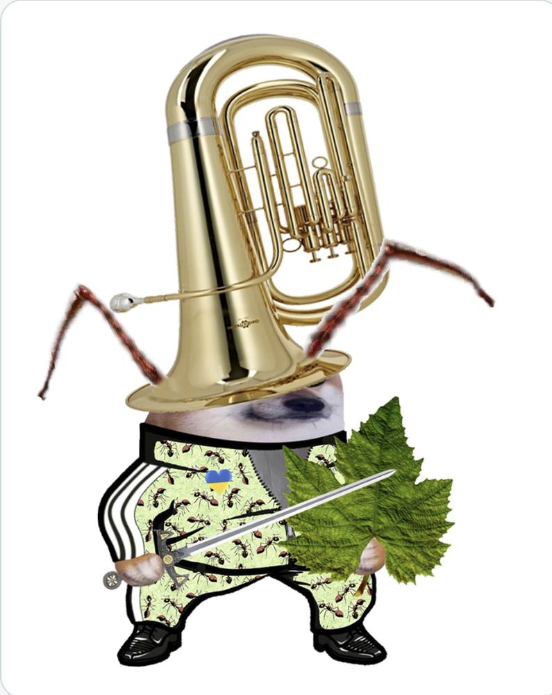 Comment image