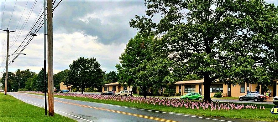 Photo of Woodglen Middle School in Hunterdon County, NJ with flags planted across the front lawn, one for every person who died in the 9/11 attacks. The rows of flags stretch beyond the end of the school and parking lot.