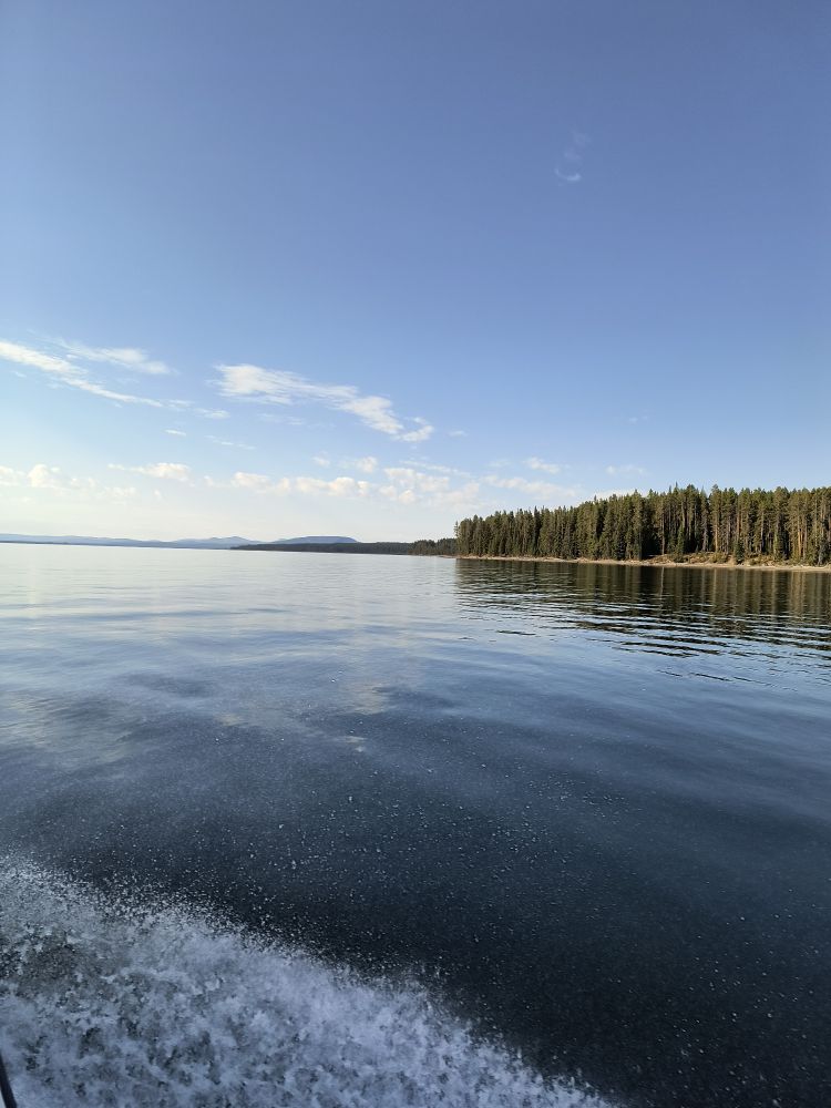 Yellowstone Lake with a tree covered island in the background.
