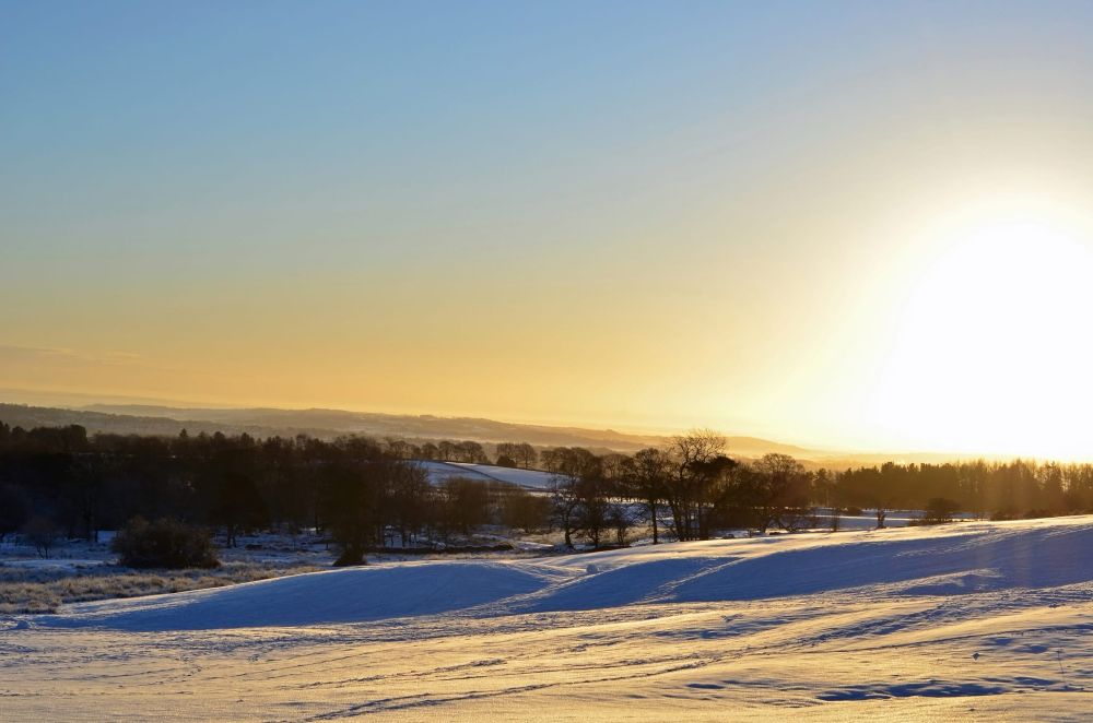 A photo of a snowy field with undulating slopes, with trees in the background and with the light of the early morning sun