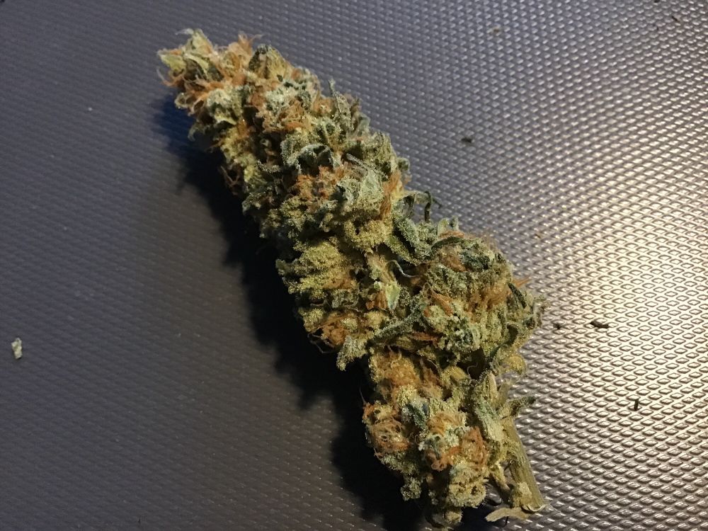 Eine schöne Cannabis Blüte.