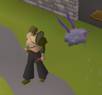 A player and their Chaos Elemental pet. Image source: https://www.reddit.com/r/ironscape/comments/rnvybv/pet_2_in_poverty_gear_4_kc_chaos_elemental