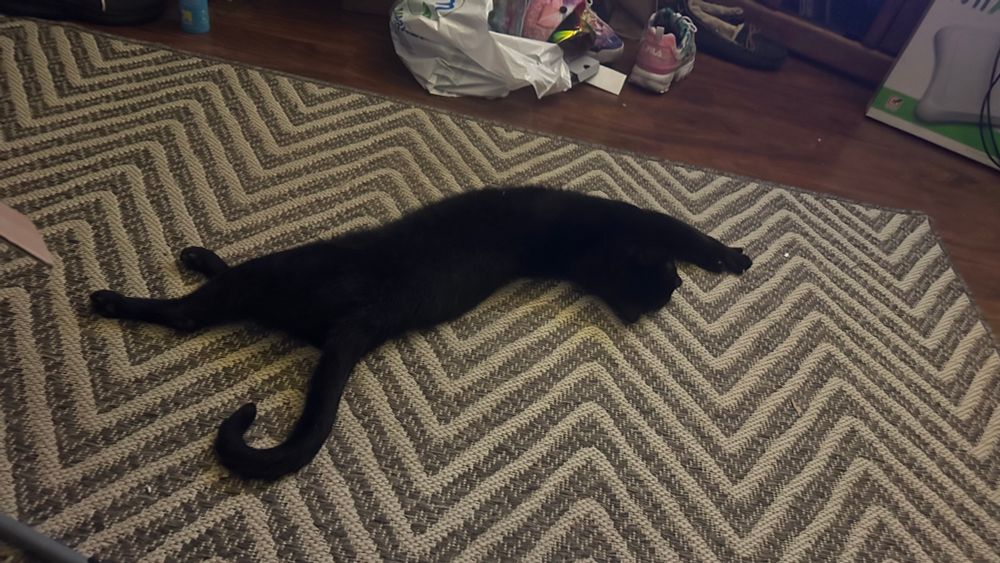 A long skinny black cat named T’challa stretched out on a zig zag rug 