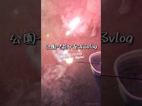 公園で花火をするvlog #政治的なvlog #vlog #日常vlog #花火