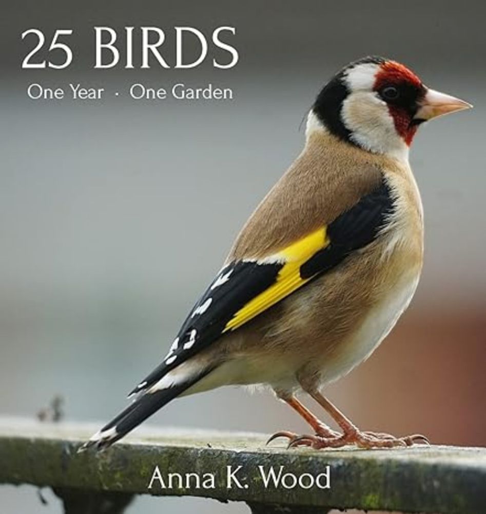 25 Birds : Wood, Anna K: Amazon.co.uk: Books