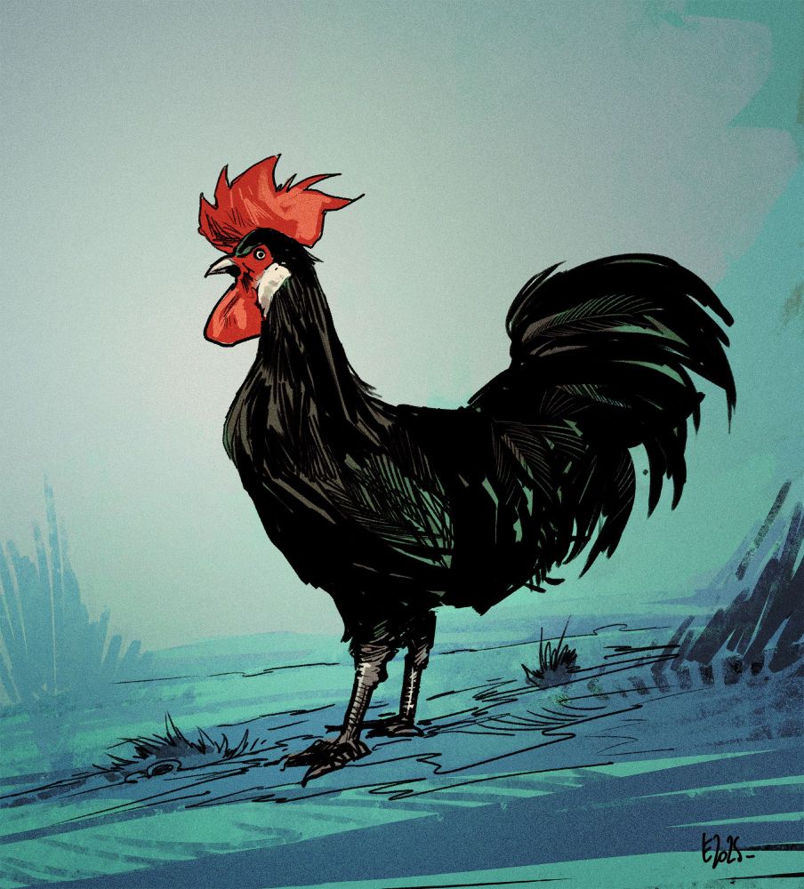Dessin en couleur avec un encrage d'un coq noir, le tout sur un fond bleu vert vaporeux.