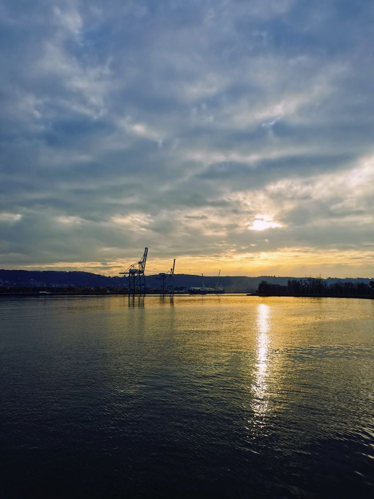 Plan large sur la Seine, au niveau d'Hautot, soleil de fin de journée se réfléchissant dans l'eau, les grues portuaires au loin. 