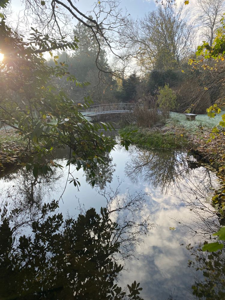 A small curved bridge crosses water that reflects the clouds and over hanging tress and bushes