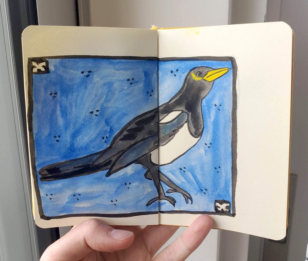 A hand holding a small sketchbook open to an ink drawing of a yellow billed magpie which spans both pages. The bird is facing to the right and lifting one foot, with its head and beak lifted to the air. It is surrounded by a rectangular border. The bird is colored in watercolor and is mostly black and white with a yellow bill and swipe of yellow below the eye. The rectangle has a blue watercolor background with a pattern of clusters of three dots.