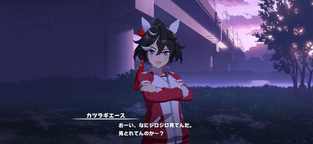 カツラギエースの個別ストーリー第2話より
カツラギエースのセリフ「おーい。なにジロジロ見てんだ。見とれてんのか〜？」