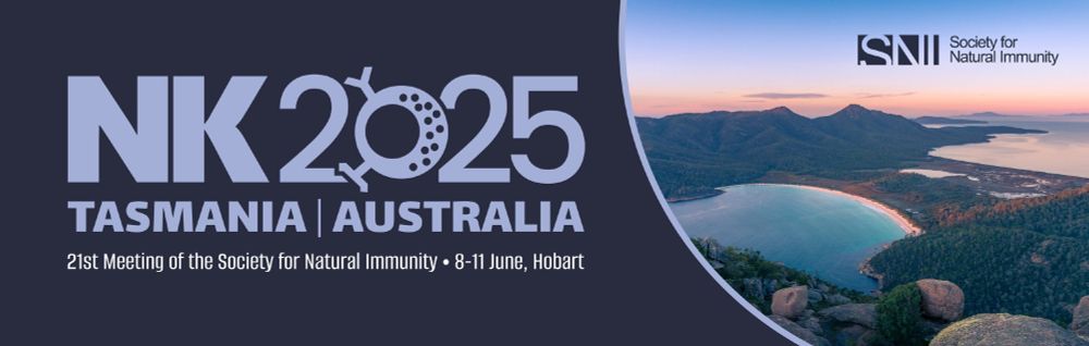  NK2025 meeting logo, check out nk2025.au